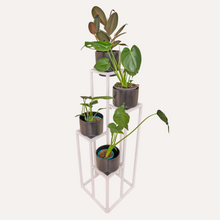 Load image into Gallery viewer, 4 Stepper Planter Stand- White