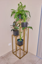 Load image into Gallery viewer, 4 Stepper Planter Stand- Gold