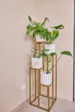 Load image into Gallery viewer, 4 Stepper Planter Stand- Gold