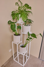 Load image into Gallery viewer, 4 Stepper Planter Stand- White