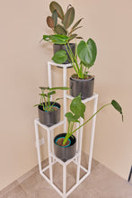 Load image into Gallery viewer, 4 Stepper Planter Stand- White