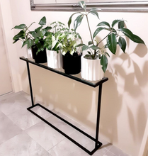 Load image into Gallery viewer, Skinny Console