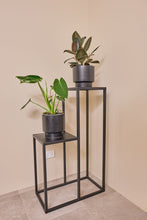 Load image into Gallery viewer, 2 Stepper Planter Stand (Black)
