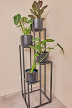 Load image into Gallery viewer, 4 Stepper Planter Stand- Black
