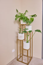 Load image into Gallery viewer, 4 Stepper Planter Stand- Gold
